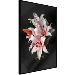 Arkiio Affisch Lilies [Poster] 20x30 Poster